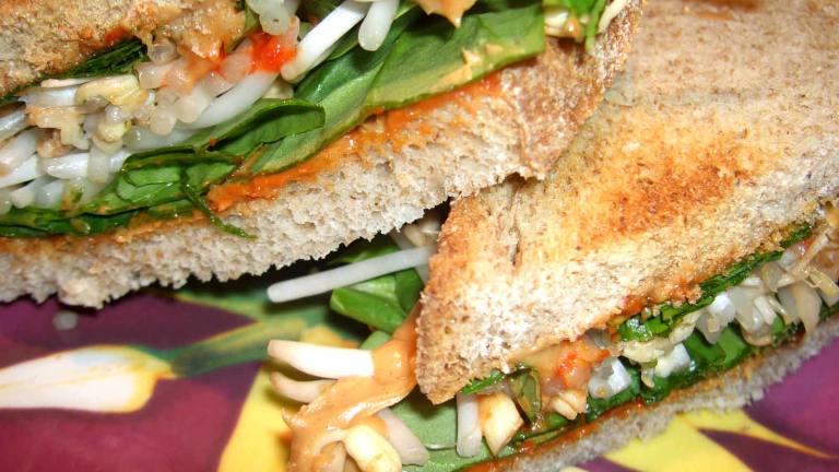Veggie Peanut Butter Sandwich created by mersaydees