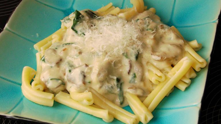 Spinach and Mushroom Alfredo Sauce created by Boomette