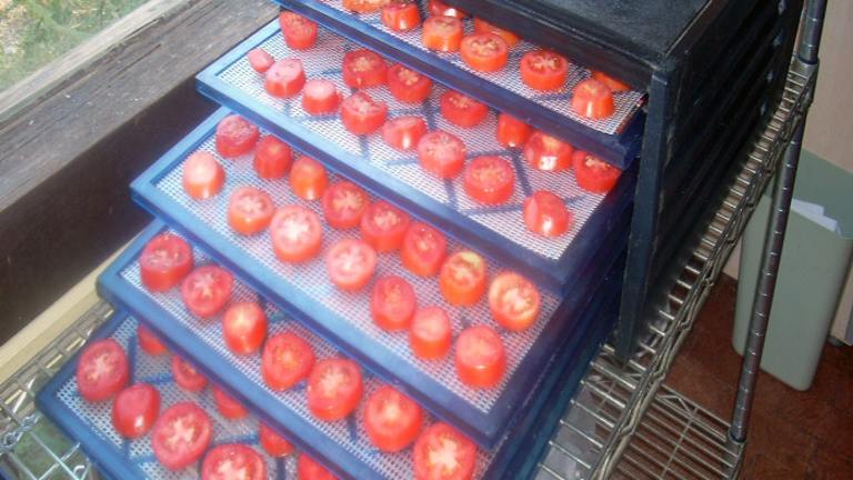 Dehydrating Tomatoes created by Chef Joey Z.
