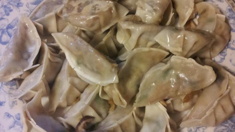 Best Vegetarian Pot Stickers Recipe Food Com