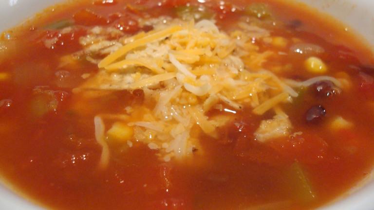 Spicy Southwestern Vegetable Soup Created by Starrynews