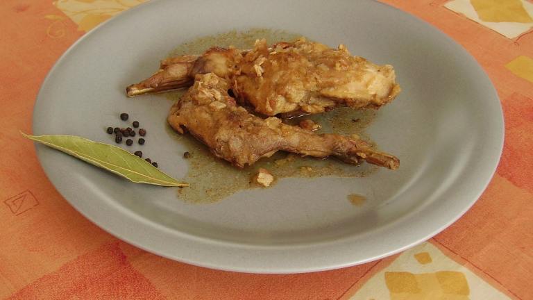 Best Braised Rabbit Recipe - Food.com