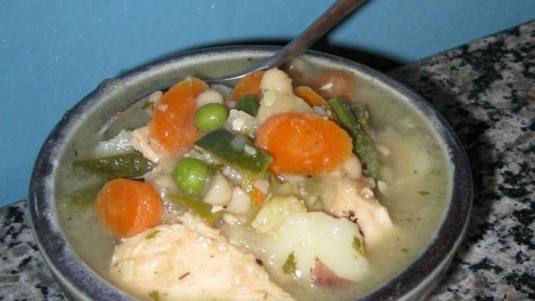 Vegetable Chicken Stew Created by butterscotchgirl