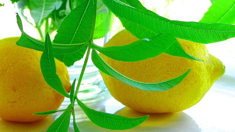 Lemon Verbena Lemonade Created by BecR2400