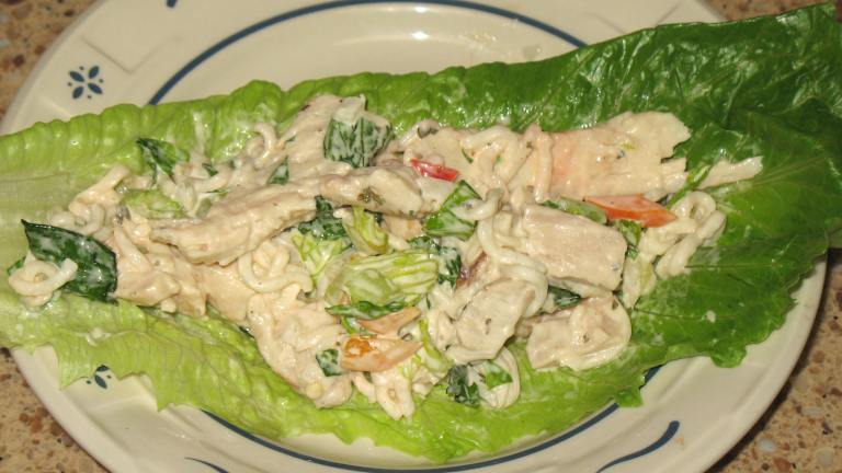 Oodles of Noodles Chicken Salad Created by AcadiaTwo