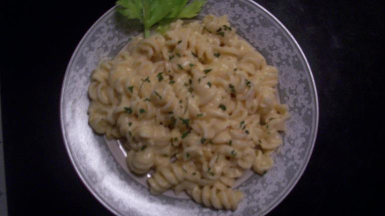 Rotini and Cheese created by Chefs Apprentice