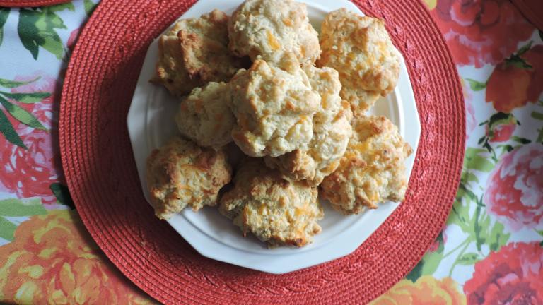 Kittencal's Easy Stir and Drop Cheese Biscuits created by Jane from Ohio