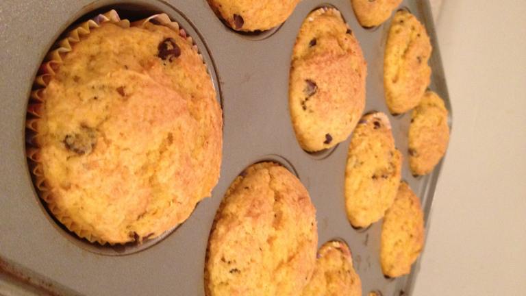 Butternut Squash and Chocolate Chip Muffins created by hollyberry