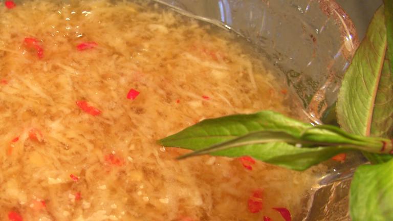 Vietnamese Ginger Fish Sauce - Nuoc Mam Gung created by JustJanS
