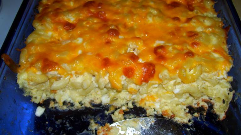Baked Macaroni Pie With Cottage Cheese Created by thistlechick