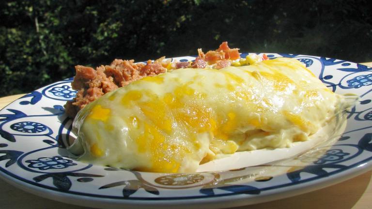 Lisa's Sour Cream Chicken Enchiladas created by lazyme