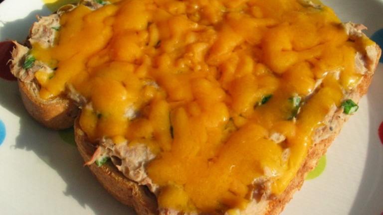 The Best Spicy Tuna Melt created by flower7