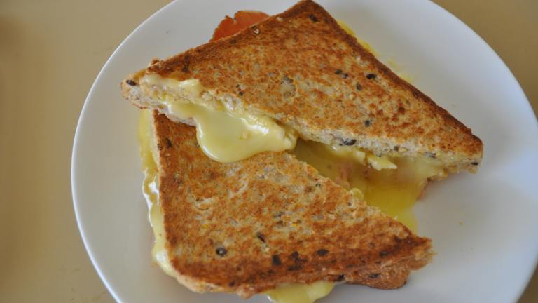 Kellymac's Brie and Prosciutto Panini Created by ImPat