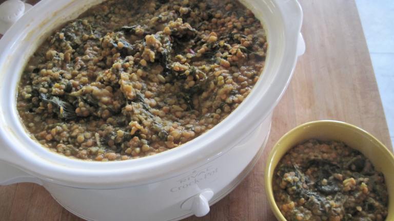Slow Cooker Red Lentil Dahl created by lyngold054