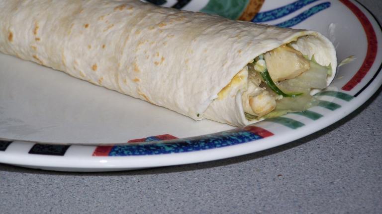 Swiss Chicken Wrap With Honey Mustard Sauce Created by HotPepperRosemaryJe