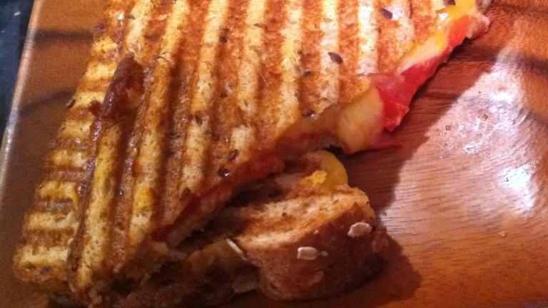 Grilled Cheese & Tomato Panini Created by BarbryT