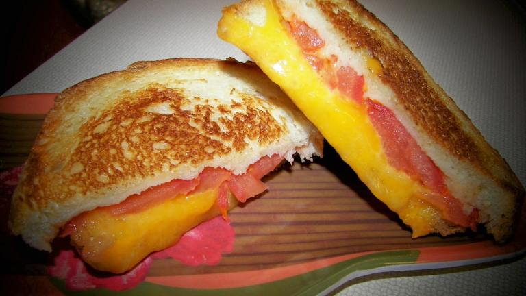 Grilled Cheese & Tomato Panini Created by Baby Kato