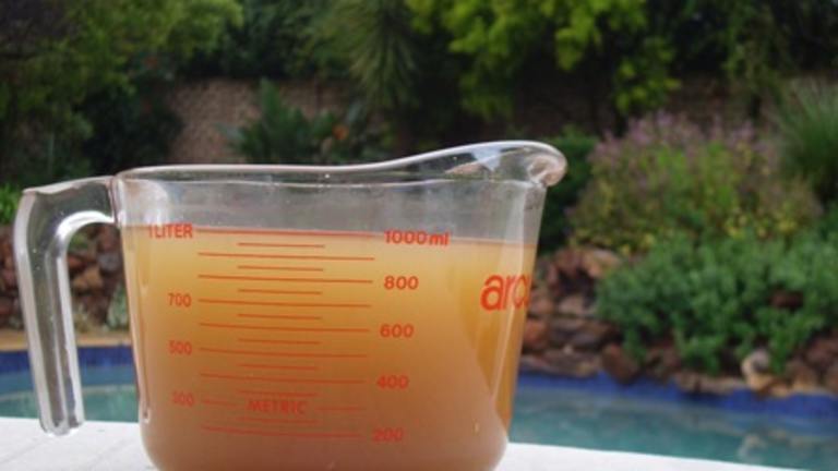 Summer Dreaming Vegetable Broth created by Karen Elizabeth