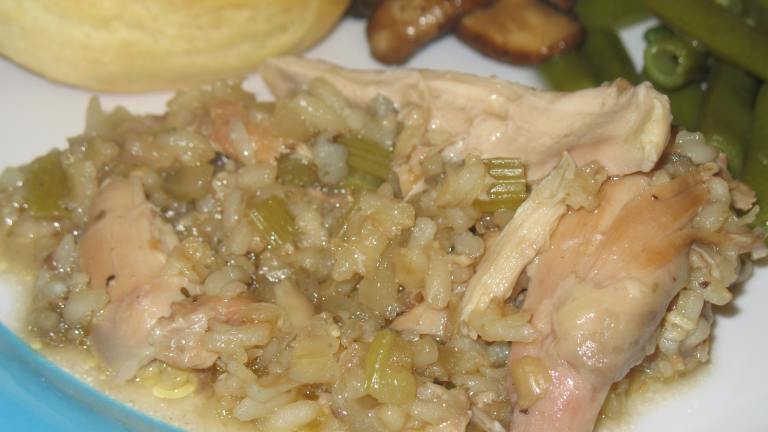Wild Rice and Turkey Stew Created by AcadiaTwo