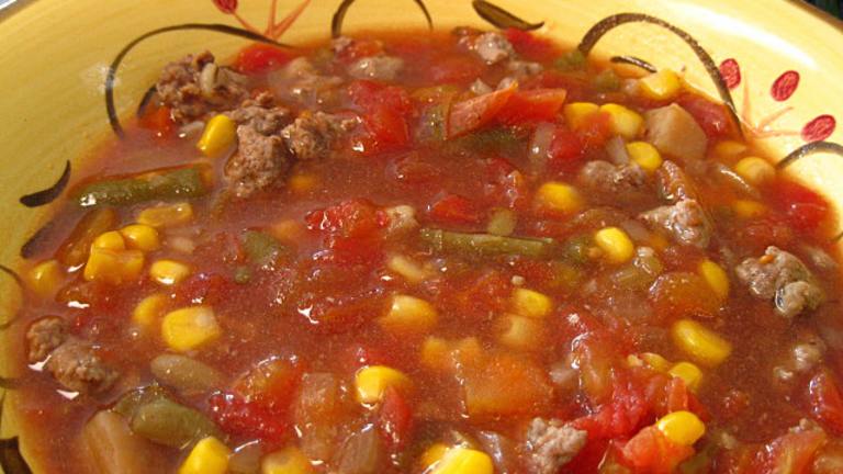 Hamburger Vegetable Soup - Crock Pot created by WiGal