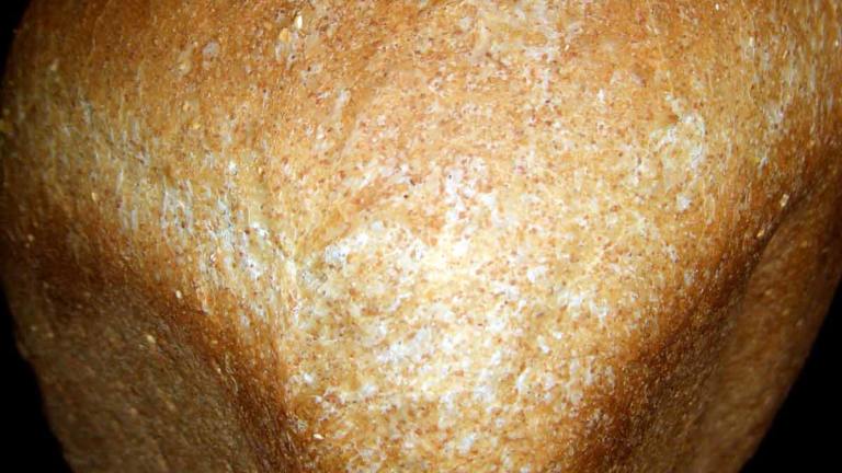 Pumpernickel-Prune Bread (Abm) Created by mersaydees