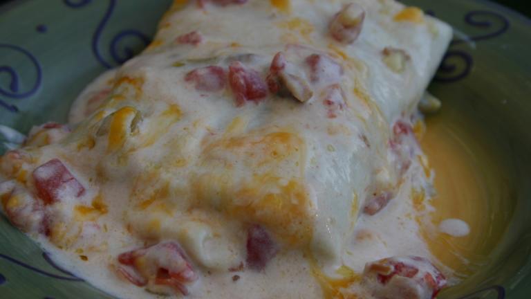 Sour Cream Chicken Enchiladas created by my3beachbabes