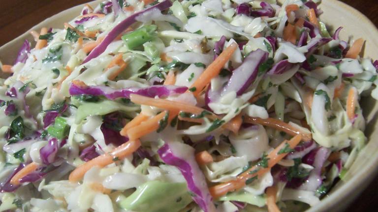 Red & Green Coleslaw Created by Parsley