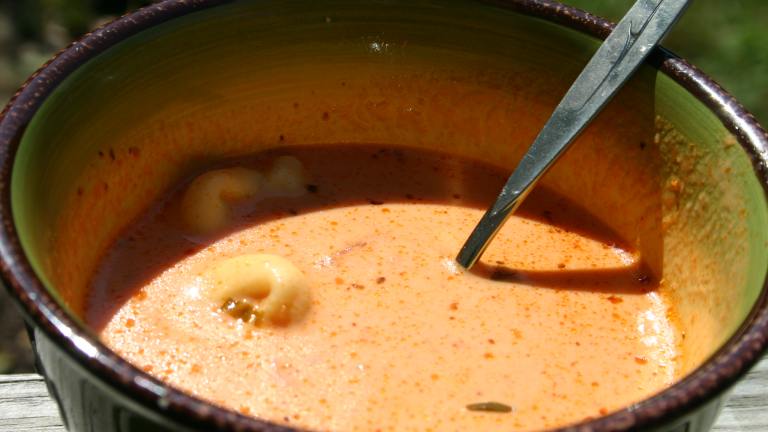 Creamy Tomato, Basil, & Garlic Cheese Tortellini Soup created by my3beachbabes