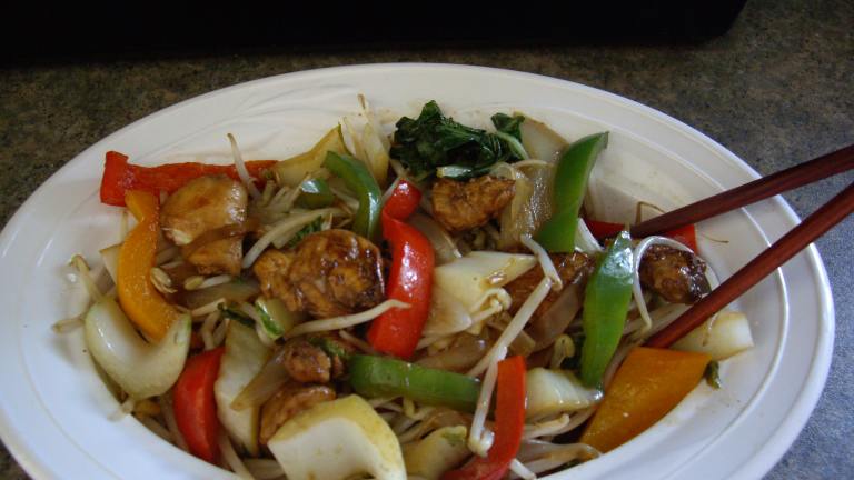 Chicken Stir Fry for Ginger Lovers Created by Sageca