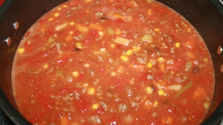 Spicy Vegetable Beef Chili Soup Recipe - Food.com