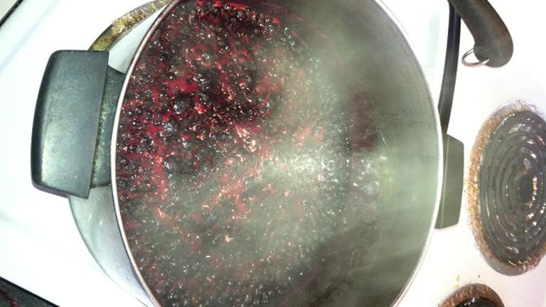 Wild Huckleberry Jam created by gouda_russell