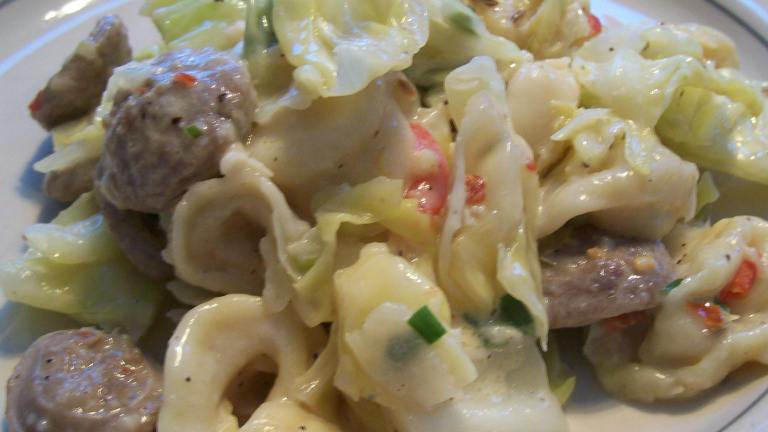 Hungry for Italian Sausage and Cabbage created by Crafty Lady 13