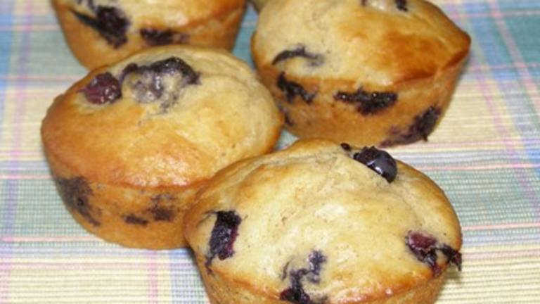 Blueberry Orange Muffins (Diabetic Friendly) Recipe - Food.com