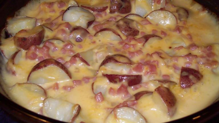 Skinny Bride's Guide to Ham and Potato Casserole created by AZPARZYCH