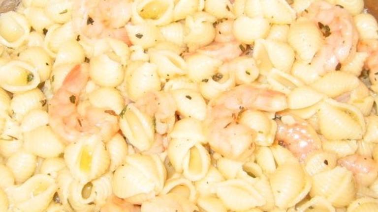 Pasta Shell and Shrimp or Ham Salad Created by Realtor by day