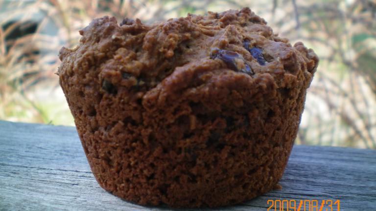 Bran Flax Seed Cranberry Muffins created by CoffeeB
