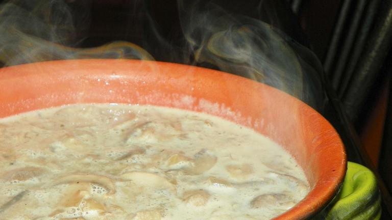 Sandys Gourmet Mushroom Soup Created by Baby Kato