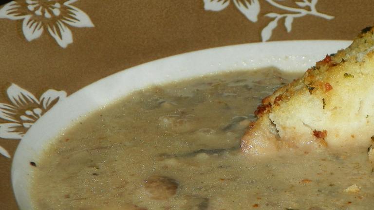 Sandys Gourmet Mushroom Soup created by Baby Kato