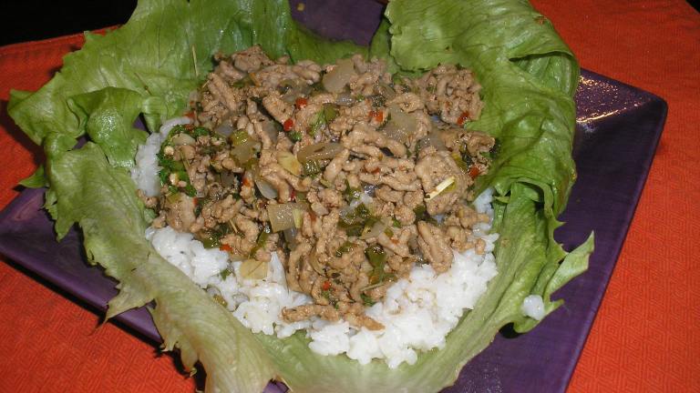 Larb (Laab) Thai Meat Salad With Mint and Lemongrass created by Queen Dana