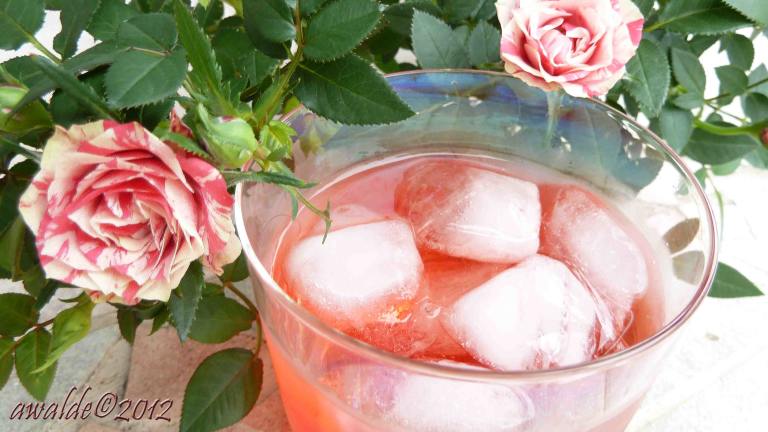Lebanese Rose Drink (Sharab Ward) Created by Artandkitchen