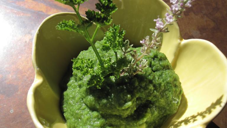 Sneaky Chef's  Make-Ahead  Green Puree Created by CaliforniaJan