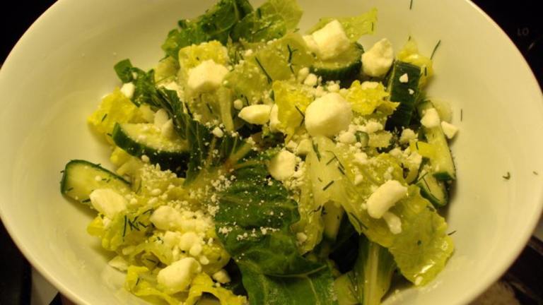 Greek Style Romaine Salad With Lemon and Fresh Dill created by dicentra