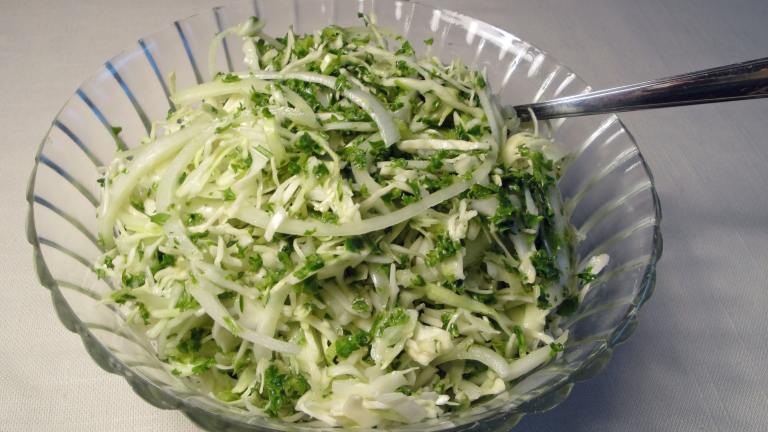 Simple Cabbage Coleslaw created by Debbwl