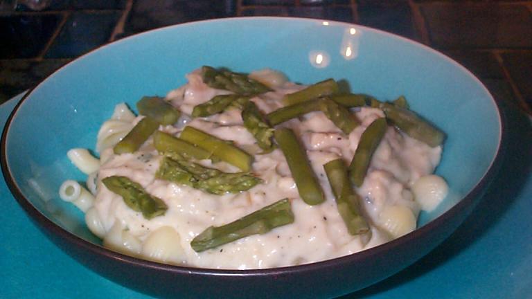 Shell Pasta With Salmon Bechamel Sauce created by breezermom