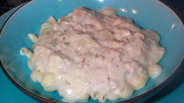 Shell Pasta With Salmon Bechamel Sauce Created by breezermom