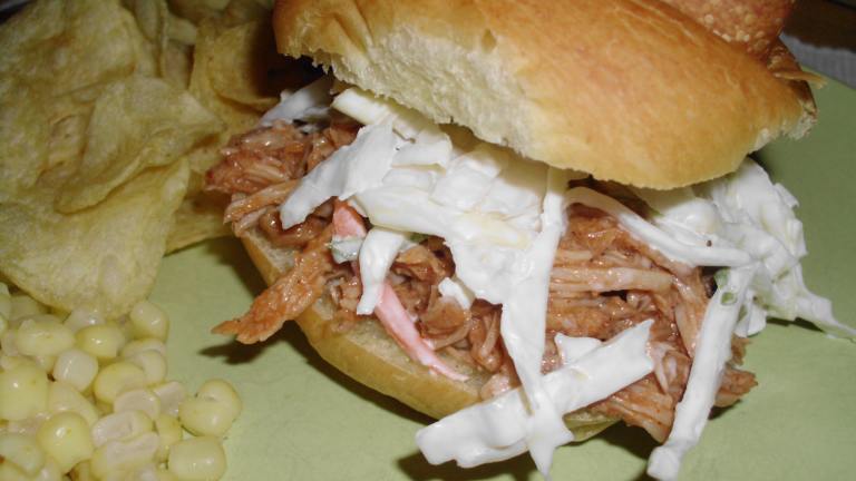 Easy Crock-Pot Pulled Pork Sandwiches Created by vrvrvr