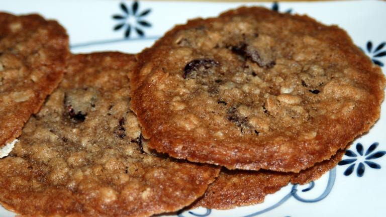 Cranberry and Oatmeal Spice Cookies Created by appleydapply