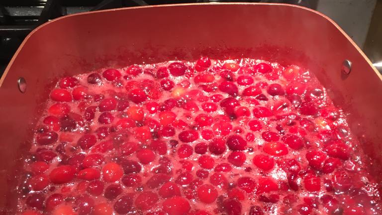 Cranberry Apricot Sauce Created by Mike in the UP