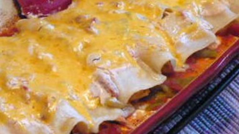 Awesome Easy Cheese and Chicken Enchiladas created by QueenBee49444