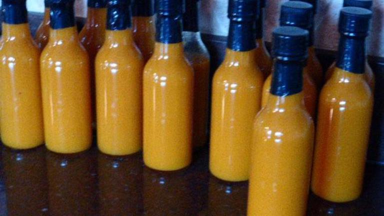 Habanero Mango Hot Sauce created by Rita1652